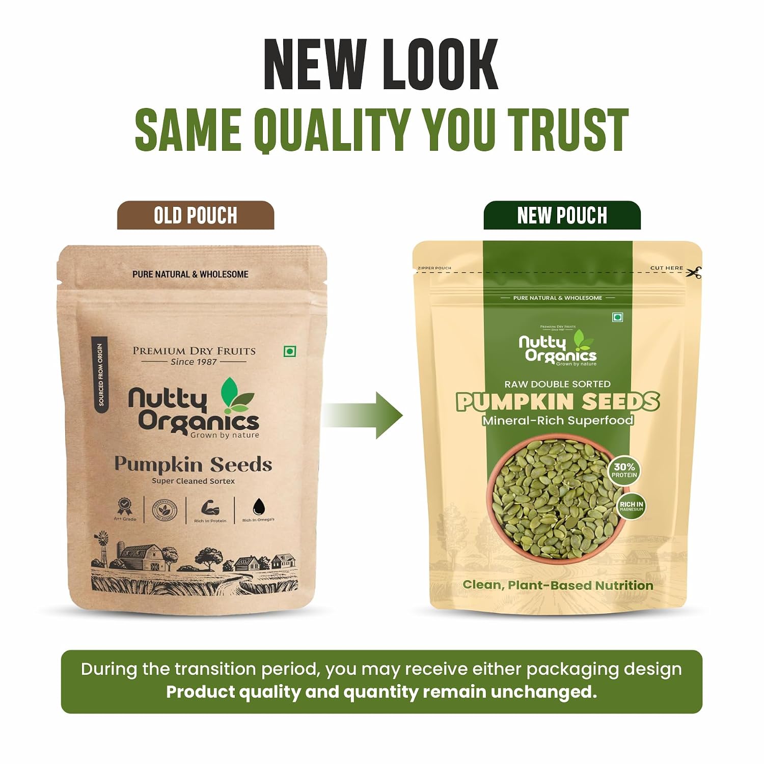 NUTTY ORGANICS Natural Pumpkin Seeds 200GM | Raw Pumpkin Seeds for Eating- Immunity Booster and Protein Rich Seeds | Healthy Diet Snacks | Weight Management
