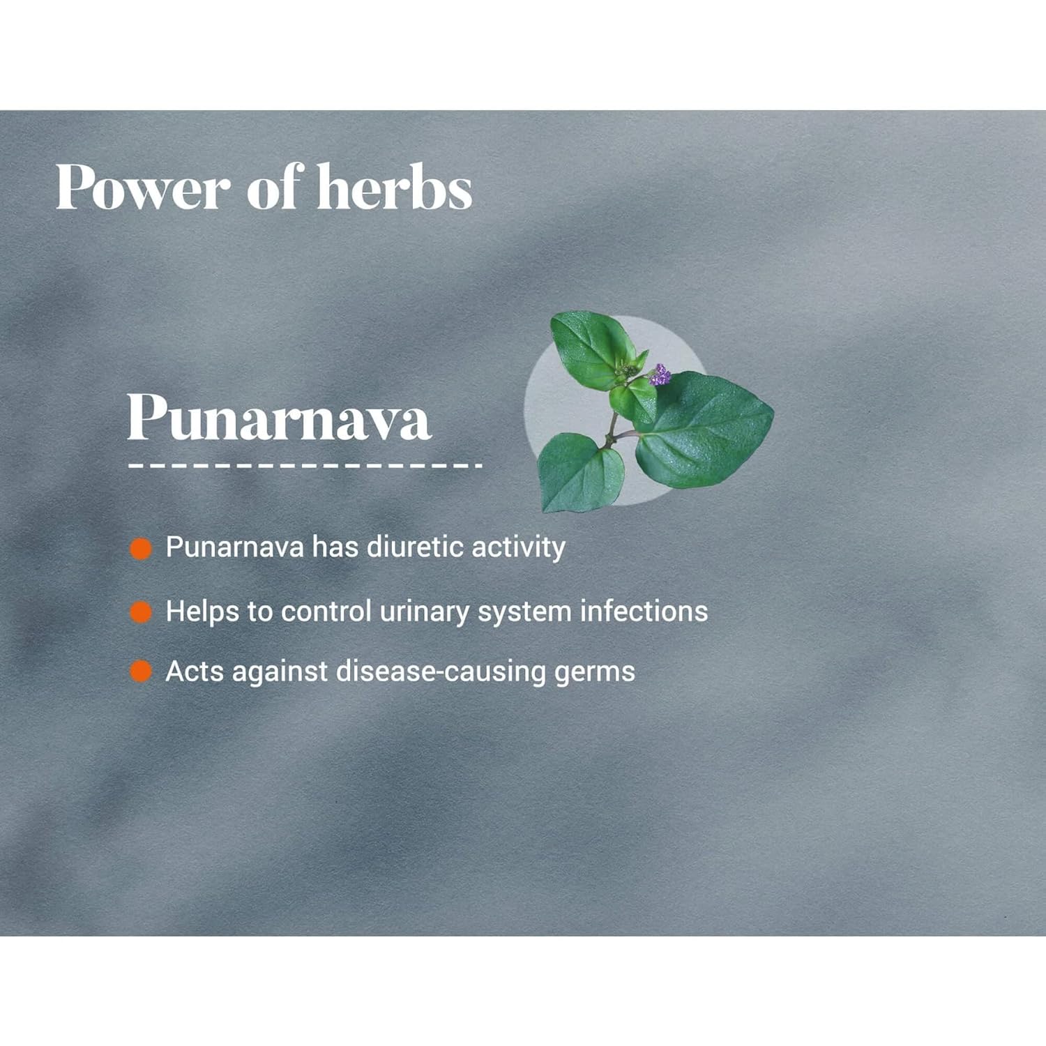 Himalaya Punarnava Tablets - 60 count (Pack of 1)