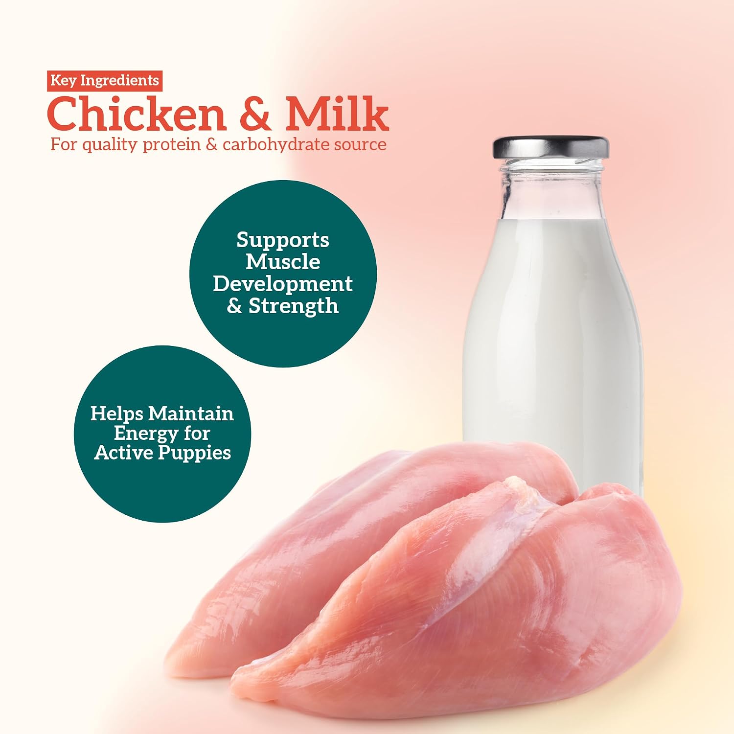 Himalaya Healthy PET Food for Puppies | Chicken & Milk | 1.2kg | Complete & Balanced Nutrition with Black Pepper, Oats & Papaya