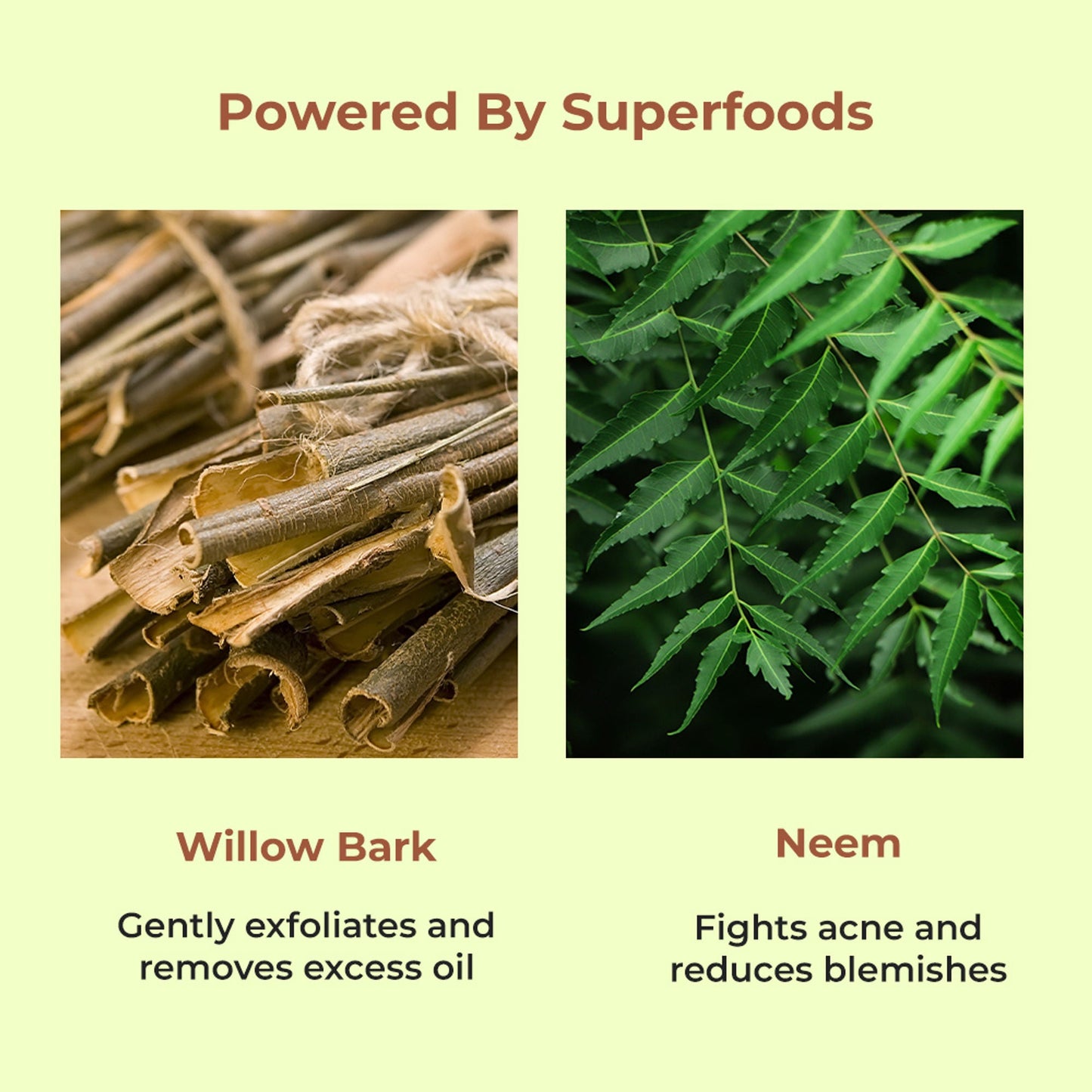 Naturali Acne & Oil Control Gel Moisturiser With Superfoods Willow Bark & Neem