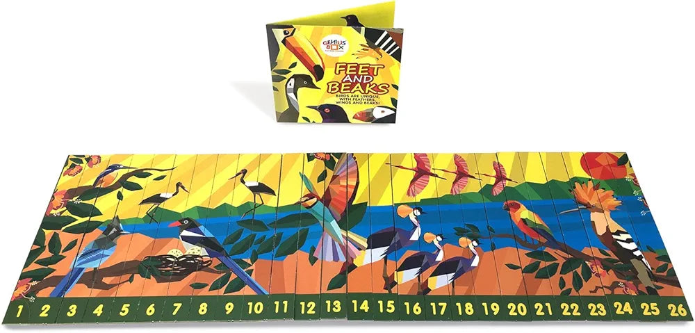 Genius Box Educational Toy for 3 Years and Up: Feathered Friends DIY, Activity Kit, Learning Kit, Educational Kit, STEM Toy
