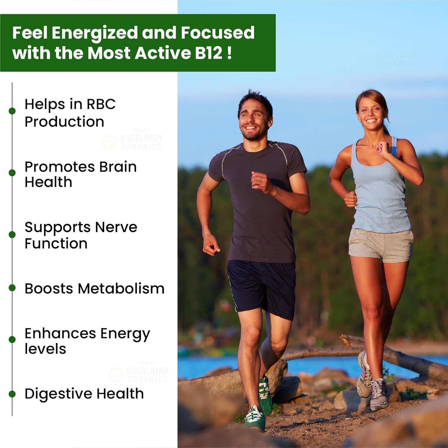 Vlado's Himalayan Organics Vitamin B12 Supplements 500 mcg - Methylcobalamin B12 Vitamin Tablets for Men & Women - 60 Veg Tablets