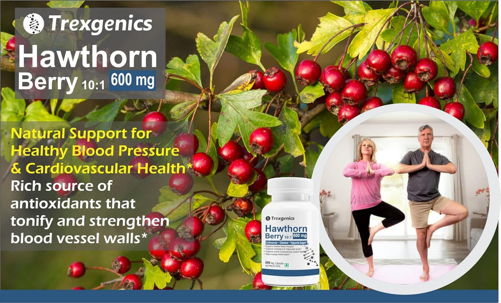 Trexgenics HAWTHORN BERRY 600 mg Cardiovascular, Cholesterol, triglycerides, Blood Pressure Support VEGAN & NON-GMO (60 Veg. Capsules) (Pack of 1)
