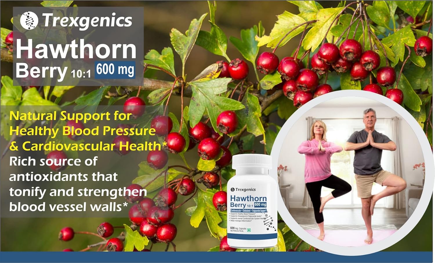 Trexgenics HAWTHORN BERRY 600 mg Cardiovascular, Cholesterol, triglycerides, Blood Pressure Support VEGAN & NON-GMO (60 Veg. Capsules) (Pack of 1)