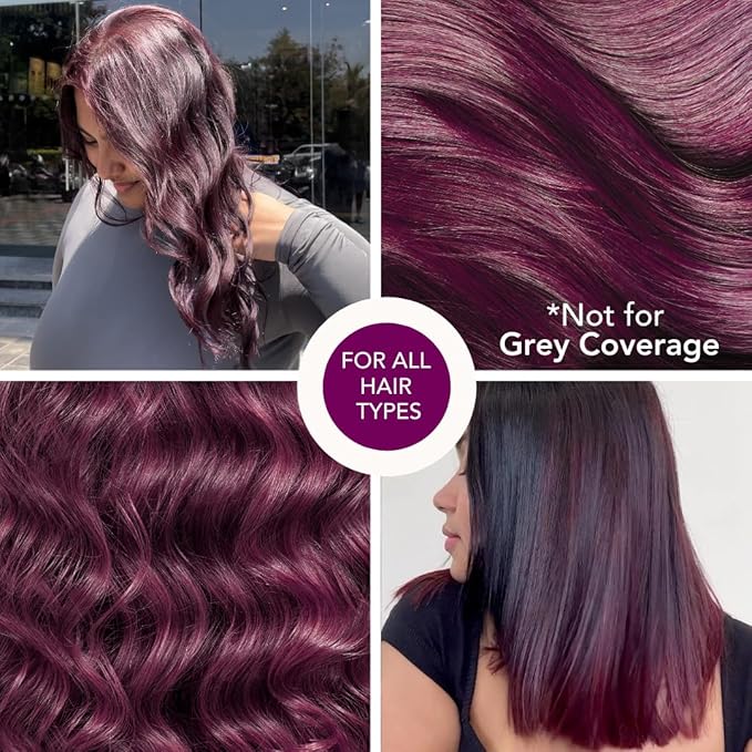 Paradyes No Bleach Berry Plum Glossy Hair Tint, Ammonia-free Formula for Natural Black Hair - 160 Gms