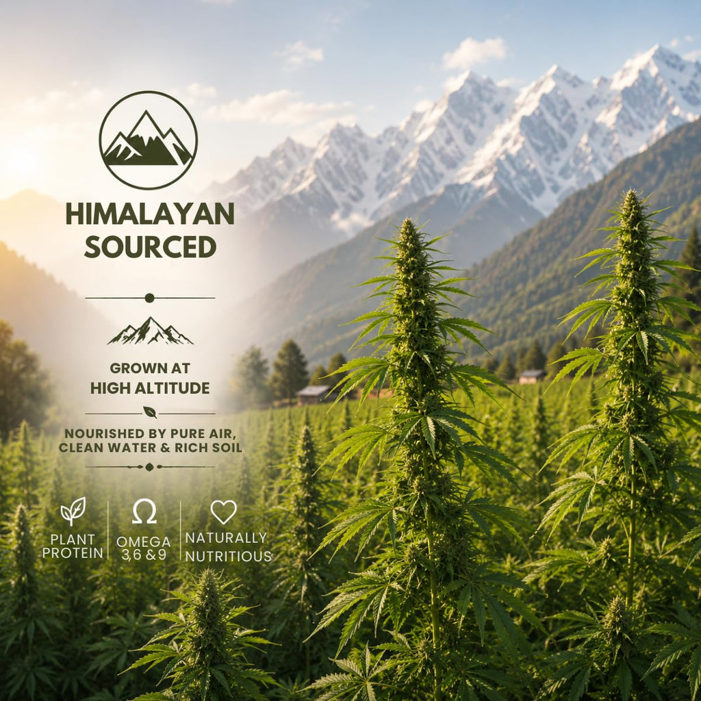 Earthen Story Hemp Hearts, 150g | Himalayan Origin Shelled Hemp Seeds | Rich in Plant Protein & Omega 3 | Lab Tested for Pesticide Residues | Mild Nutty Taste | Superfood for Smoothies, Salads & Breakfast
