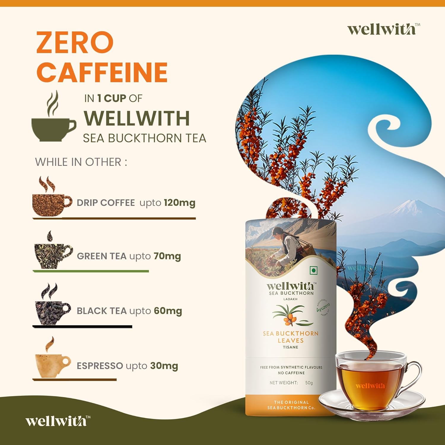 Wellwith by Ayuzera Sea Buckthorn Raw Leaves Tea, Good For Skin and Immunity, For a Healthy Lifestyle - Himalayan Herbal Tea - Pure & Natural (100g)