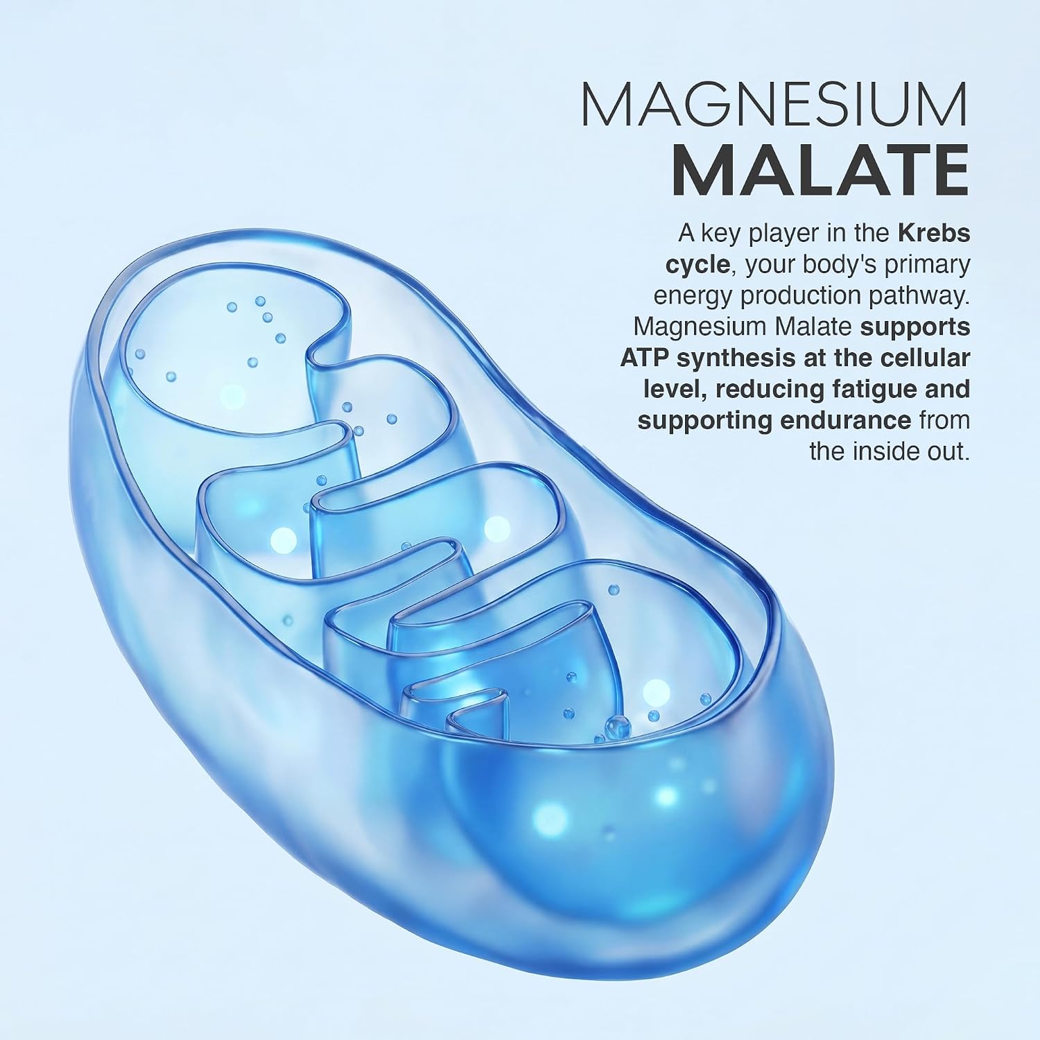 MuscleBlaze Magnesium Matrix Tablets | 440mg Elemental Magnesium | Supports Performance, Recovery & Sleep