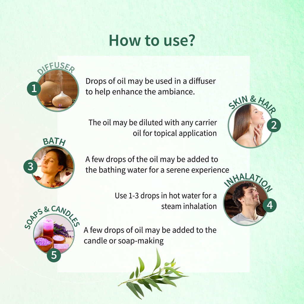 Ayouthveda Eucalyptus (Nilgiri) Essential Oil for Skin & Hair | Aromatherapy Kit for Stress Relief & Relaxation | 100% Pure & Natural Therapeutic Grade |Can Be Used as Air purifier (Pack Of 1; 15ml)