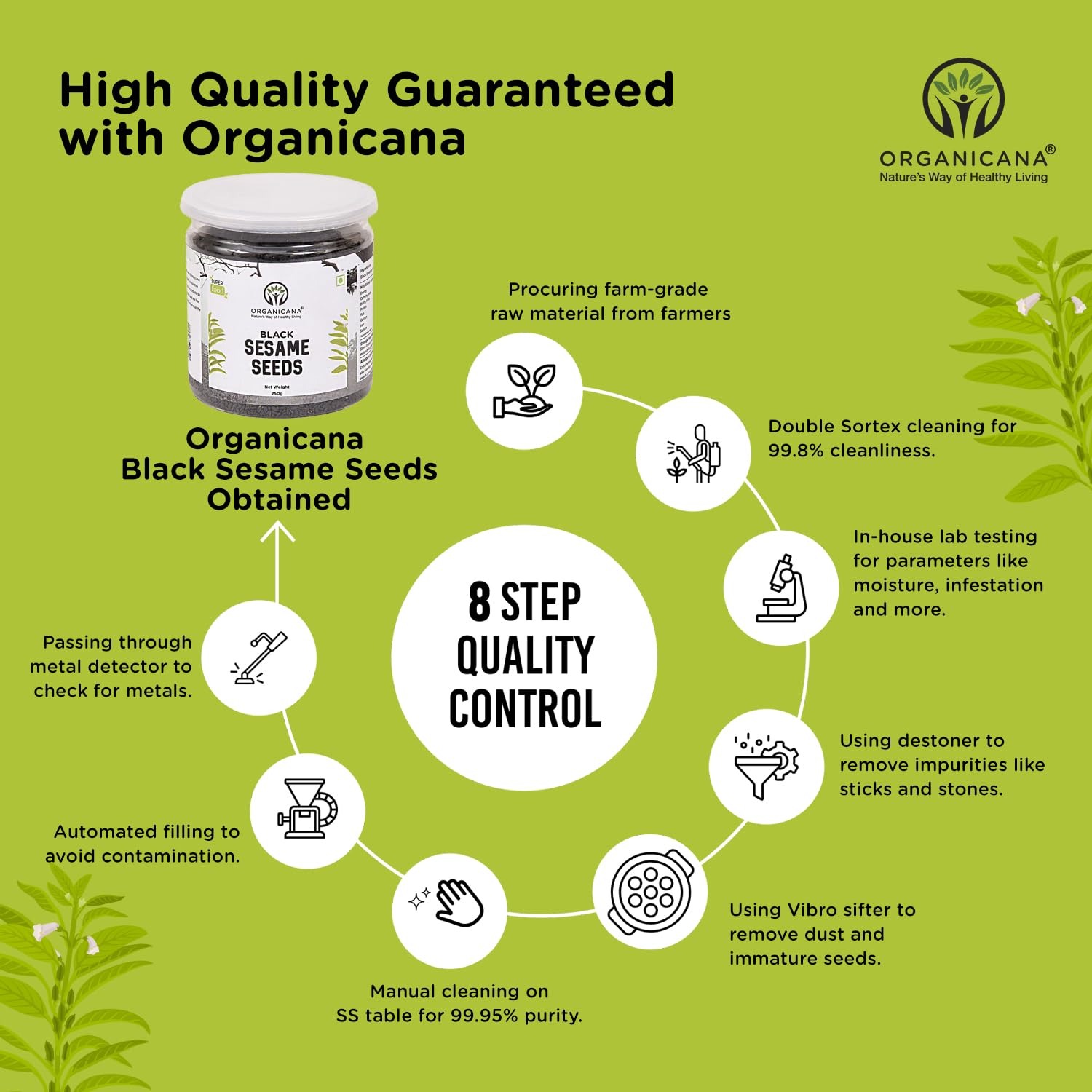 Organicana Black Sesame Seeds (Pack of 1) - Til for Eating | Natural Black Gingelly Oil Seed | Indian Spices for Everyday Essentials | Kaale Til for Weight Loss | Nutrient Rich Black Seeds