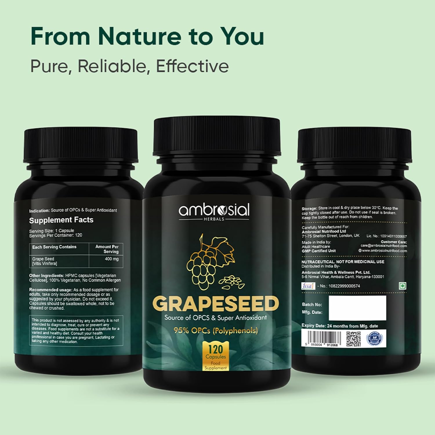 Ambrosial Grape Seed Extract Capsules | 95% OPCs Polyphenols | High Strength Grape Seed Supplement | Strong Antioxidant | Pack of 1-120 Vegan Capsules