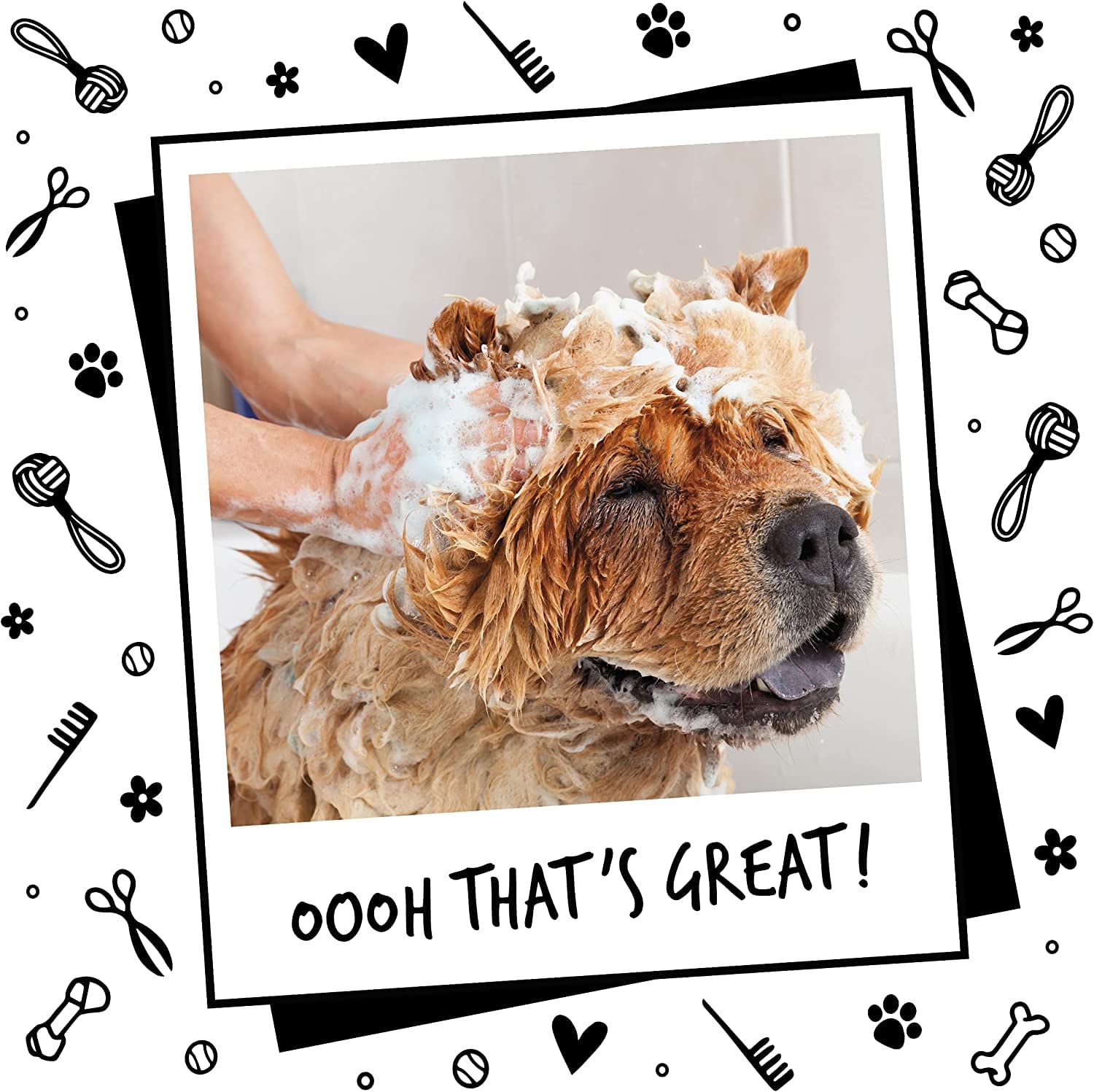 Pet Needs Oh My Dog Paraben Free Ultimate Pet Shampoo for Puppies & Dogs | Berry-coconut | 500 Ml