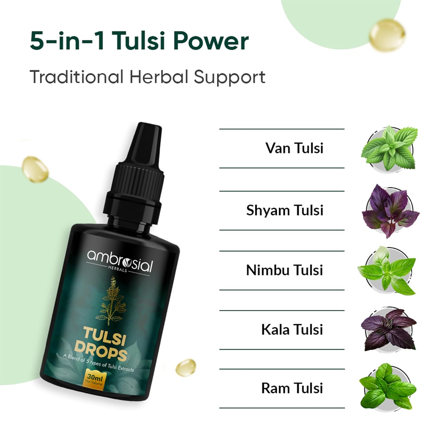 Ambrosial Tulsi Drops Concentrated Extract of 5 Tulsi 30ml | Natural Immunity Booster | Relieves Cough & Cold | Raw Extract of Holy Basil Leaf (Pack of 1)