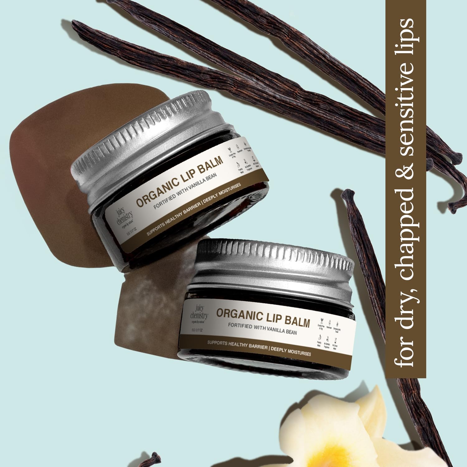 Juicy Chemistry Organic Lip Balm with Vanilla Bean, 5g | Deeply Moisturising & Nourishing Lip Care | Supports Healthy Lip Barrier | For Dry & Sensitive Lips | Dermatologically Tested | Cruelty Free & Veg