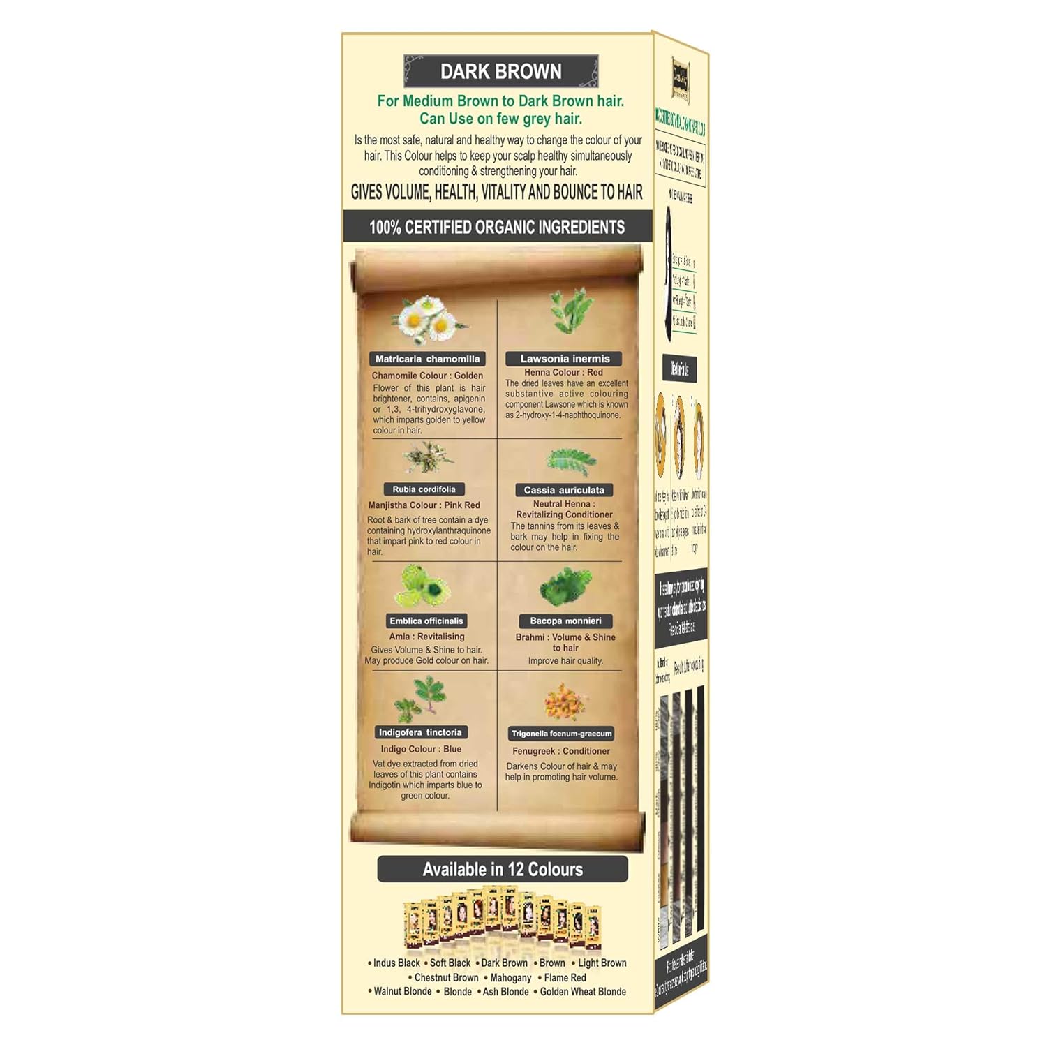 INDUS VALLEY 100% Botanical Dark Brown hair Color Dermatologist Recommended, Safe for Pregnent & Lactating Mother (120g)