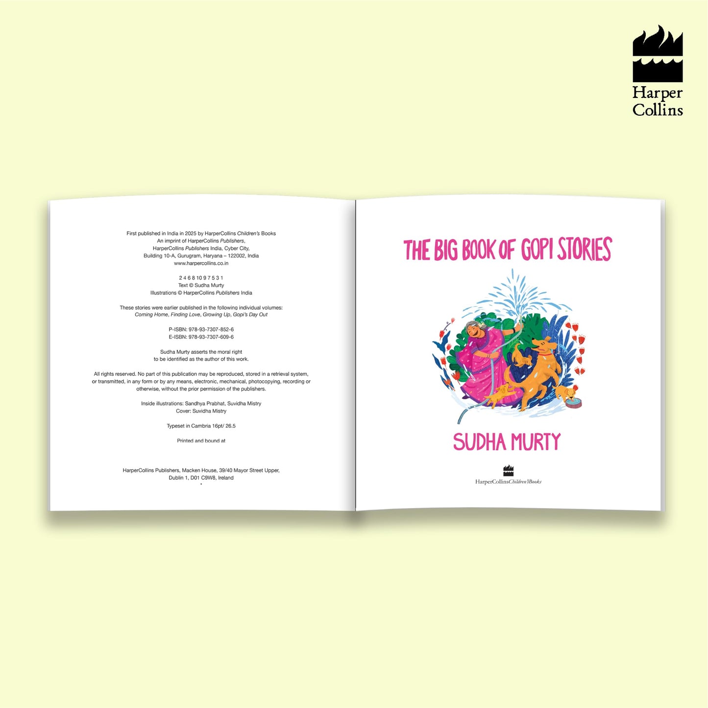 The Big Book Of Gopi Stories: The Gopi Diarie By Sudha Murty