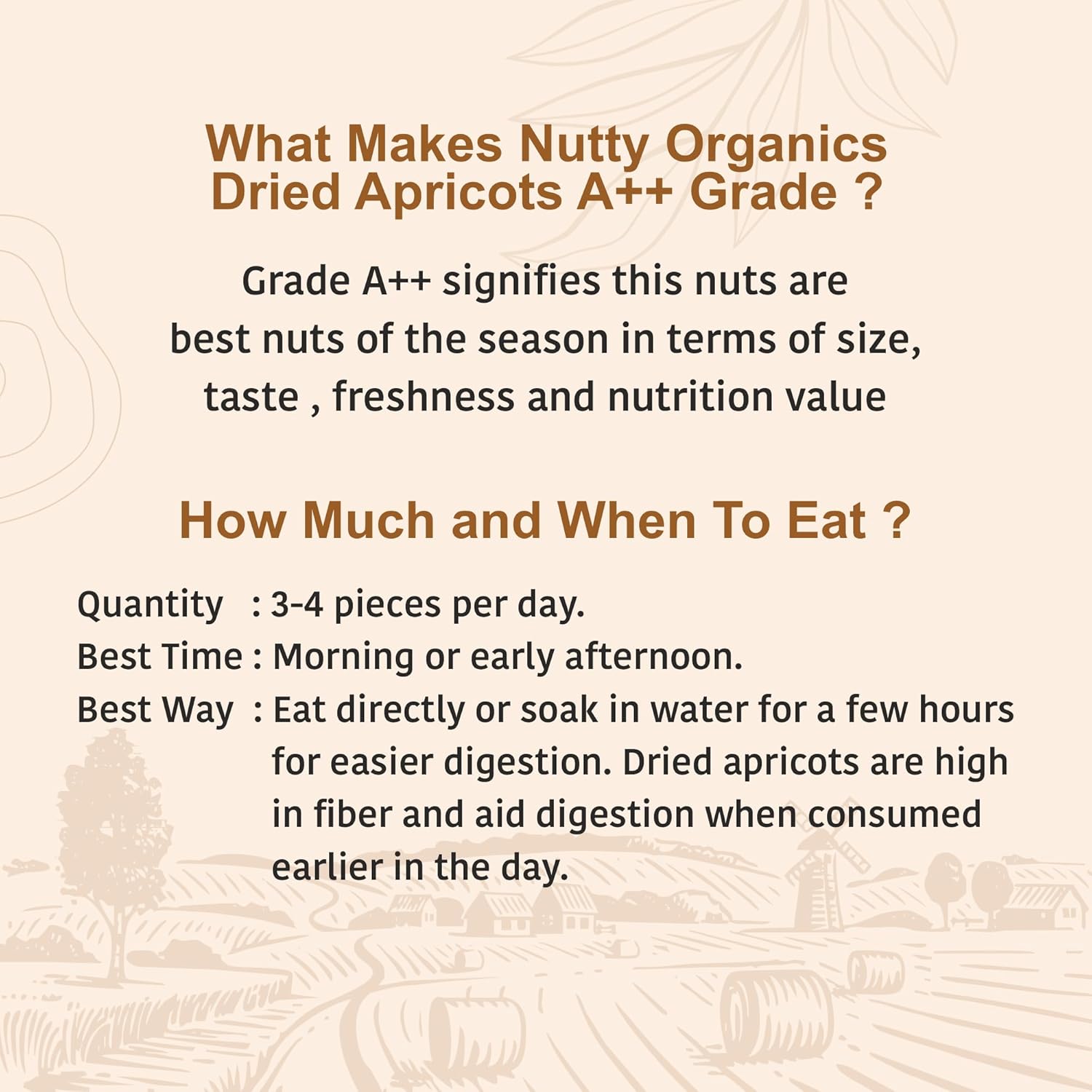 Nutty Organics Dried Apricots Jardalu 250GM | Nutritious | Rich in Iron | Tasty & Healthy Nuts Dry Fruits | Rich in Protein | Gluten Free