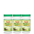 Jaived Ayurveda Giloy Churna - 100 Gms (Pack of 3)