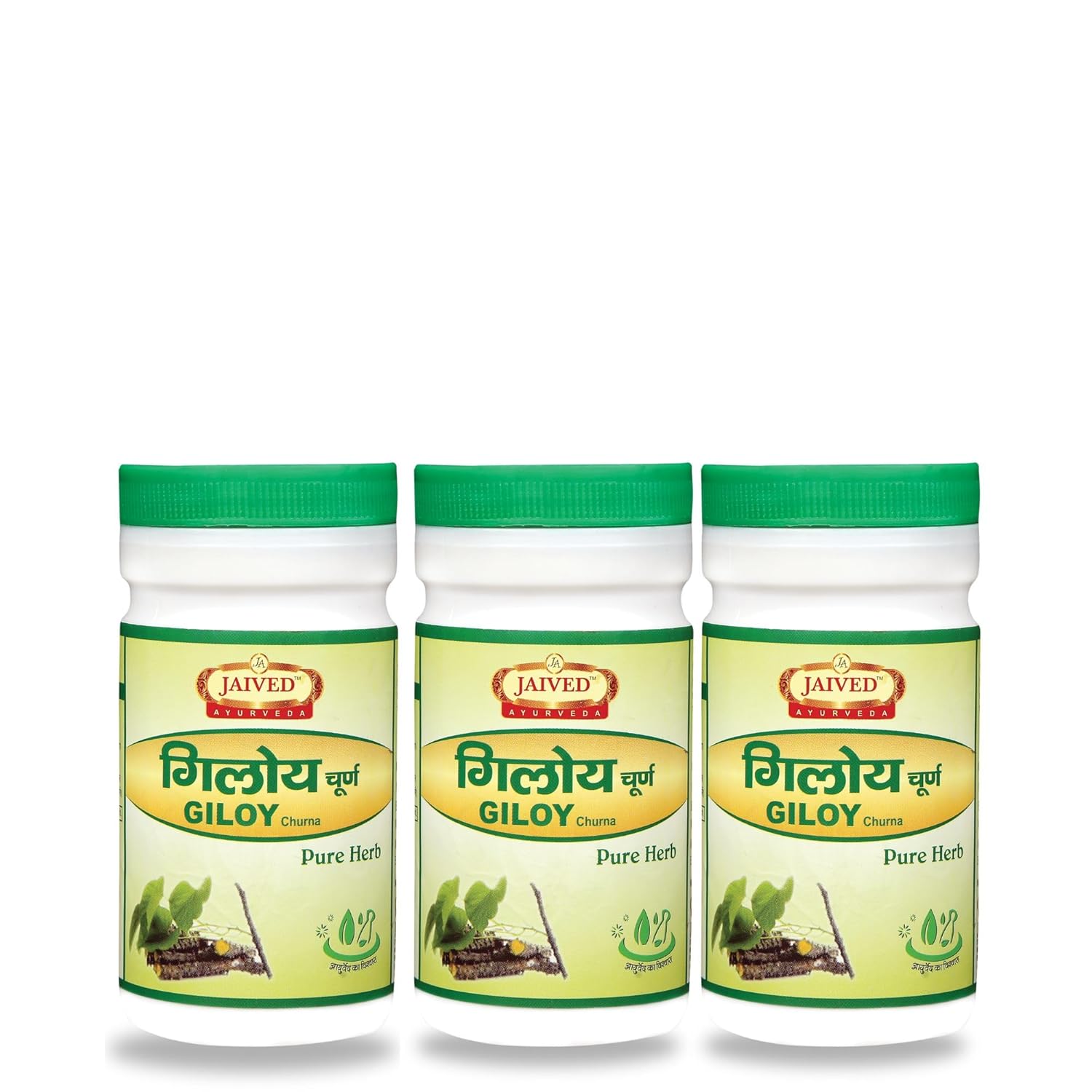Jaived Ayurveda Giloy Churna - 100 Gms (Pack of 3)