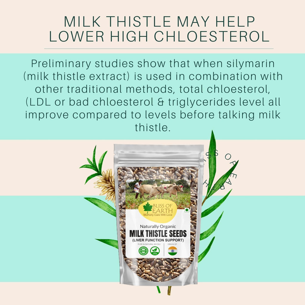 Bliss of Earth Milk Thistle Seeds Organic Super Food Great for Guts Health & Boost Immunity | Promotes Skin Health | High in Protein | 100GM
