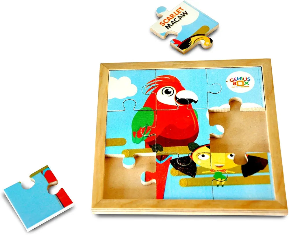 Genius Box Play Some Learning Activity Kit For 3+ Year Age: Nature Explorer Diy, Educational Toy, Learning Kit, Educational Kit, Stem Toy