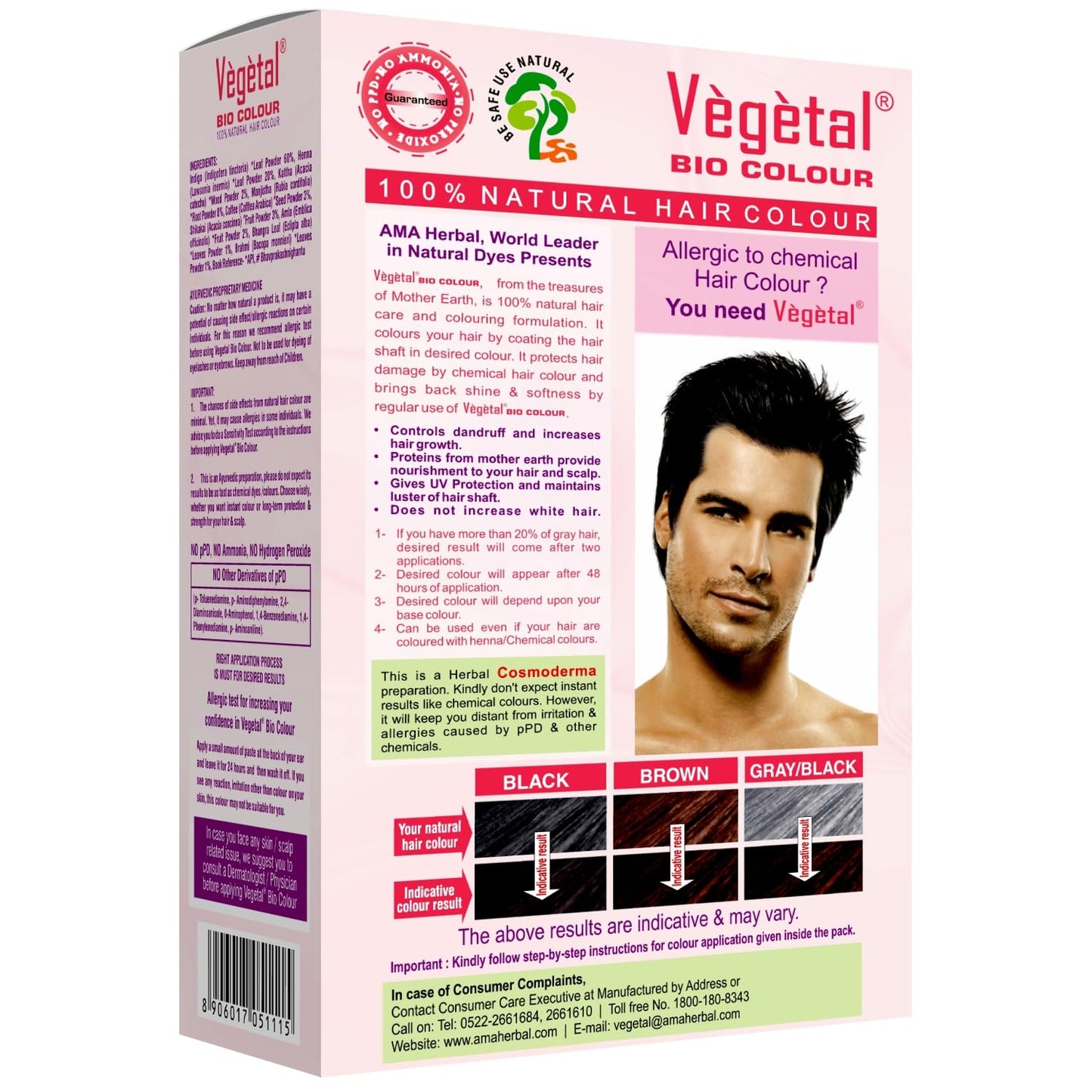 Vegetal Bio Hair Colour Soft Black - 50 gms (Pack of 2)