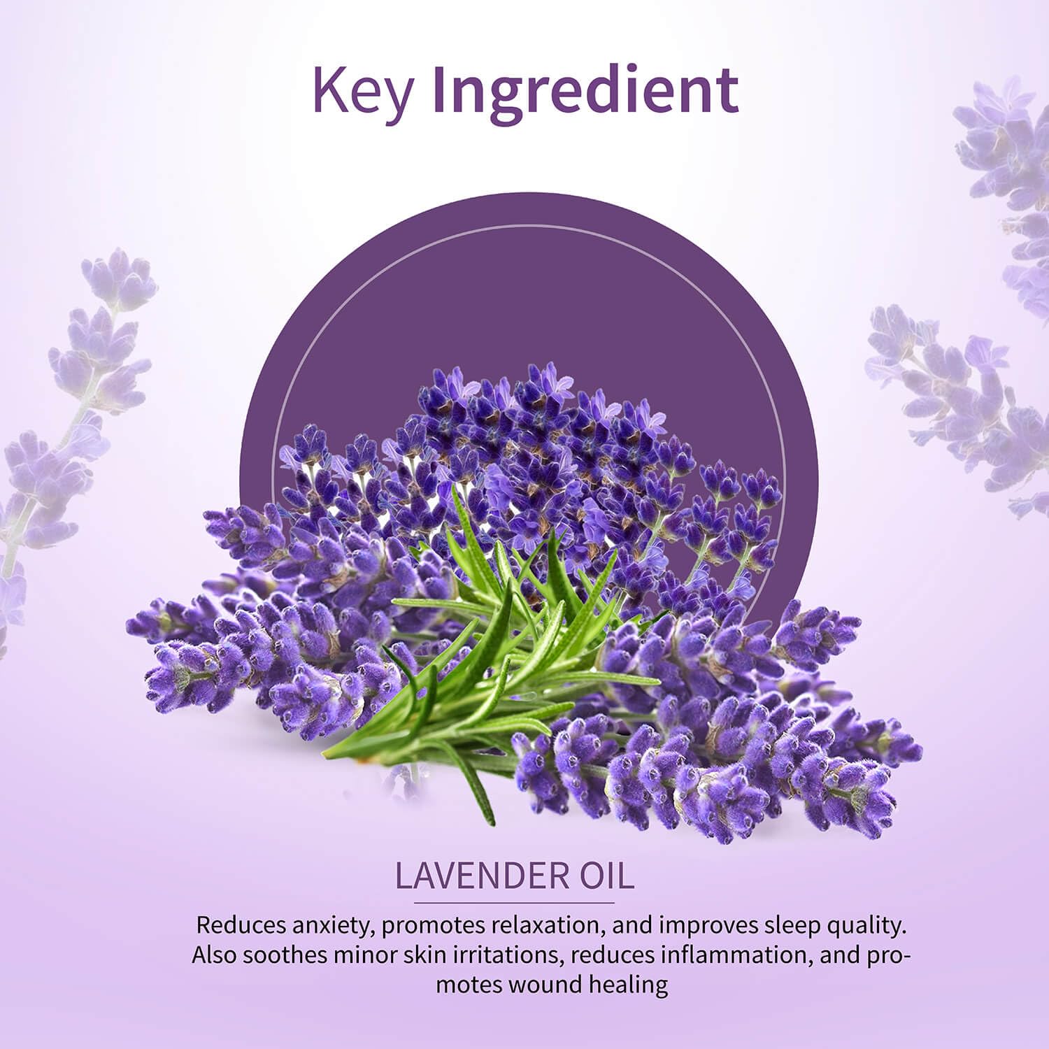 Ayouthveda Lavender Essential Oil | Skin, Acne, Hair Fall, Relaxing Sleep, Aromatherapy & Body | Pure, Organic, Natural & Undiluted, Organic Certified | 15ml Pack