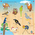 Skillofun SFS-44E Kingsize Identification Tray Birds with Knobs Multi Color