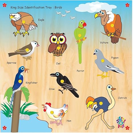Skillofun SFS-44E Kingsize Identification Tray Birds with Knobs Multi Color