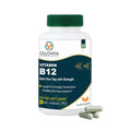 Vitamin B12 Supplement â€“ 1000mcg Plant-Based Veg Capsules for Energy, Metabolism & Nerve Support | Boosts Vitality & Wellness | Supports Red Blood Cells | 60 Capsules
