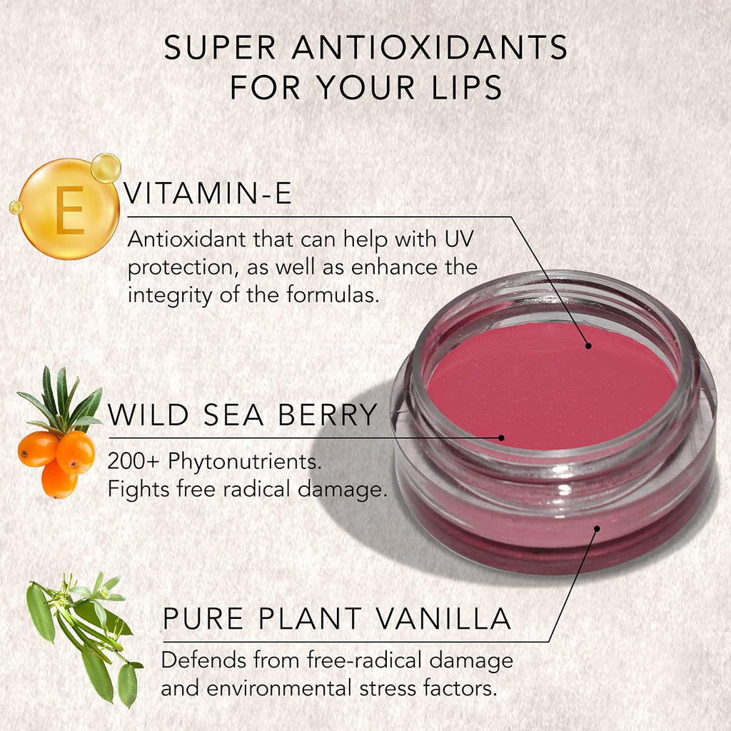 Daughter Earth Vegan Lip and Cheek Tint | Matte Natural Blush for Women - 4.5 Gms
