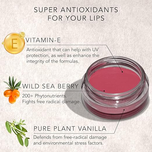 Daughter Earth Vegan Lip and Cheek Tint | Lip Tint With Vitamin E | Nourishing Cheek Tint - 4.5 Gms