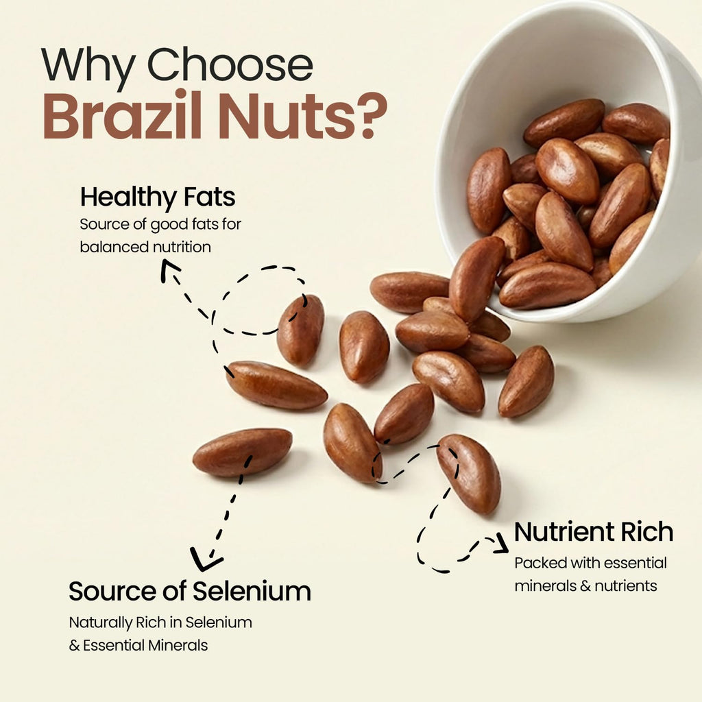 GoVegan Premium Brazil Nuts 100gm | 100% Natural & Vegan | Rich in Selenium, Protein & Healthy Fats | Superfood for Energy