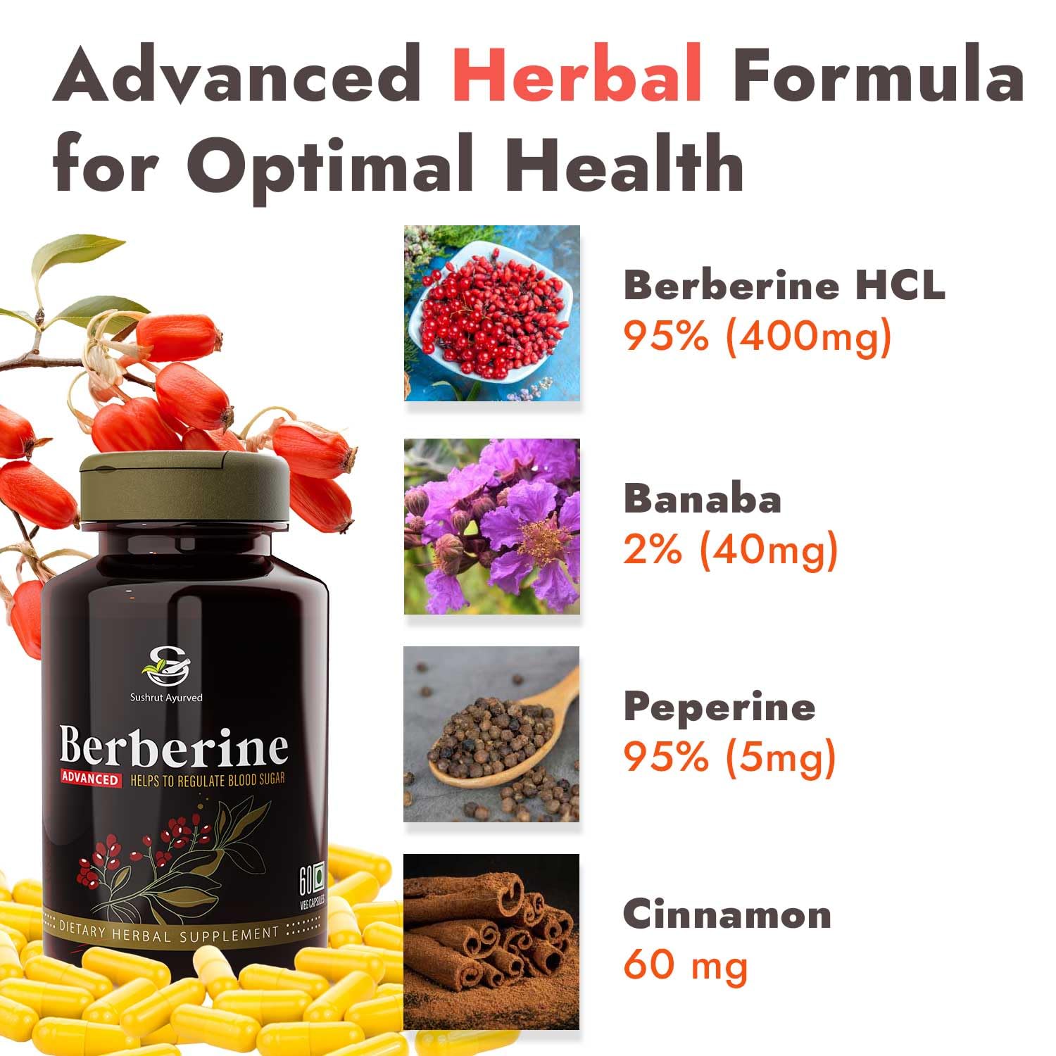 Berberine Advanced 500mg Capsules for Glucose Balance, Optimal Metabolism & Weight Management â€“ Plant-Based Formula with Banaba, Piperine & Cinnamon Extracts [Vegan Friendly] (Pack of 1 - 60 Capsules Each)