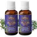 Exotic Aromas Rosemary Essential Oil for Hair Growth - 15 ml (Pack of 2)