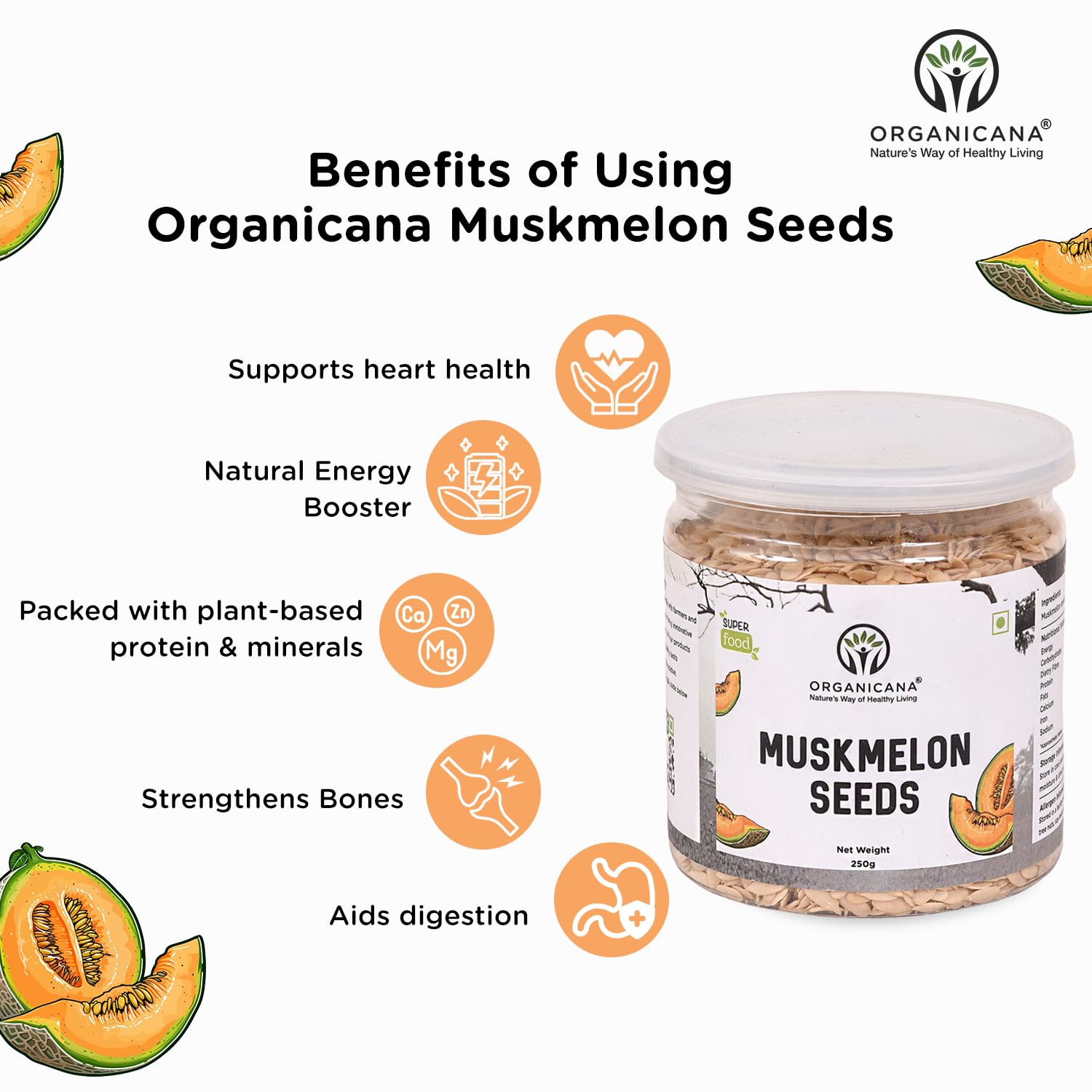 Organicana Natural Muskmelon Seeds (Pack of 1) | Kharbooj Magaj | Kharbhuja Beej for Eating | High in Protein, Potassium, Magnesium & Iron | Immunity Booster Superfood | Healthy Snack, Topping and Cooking Use