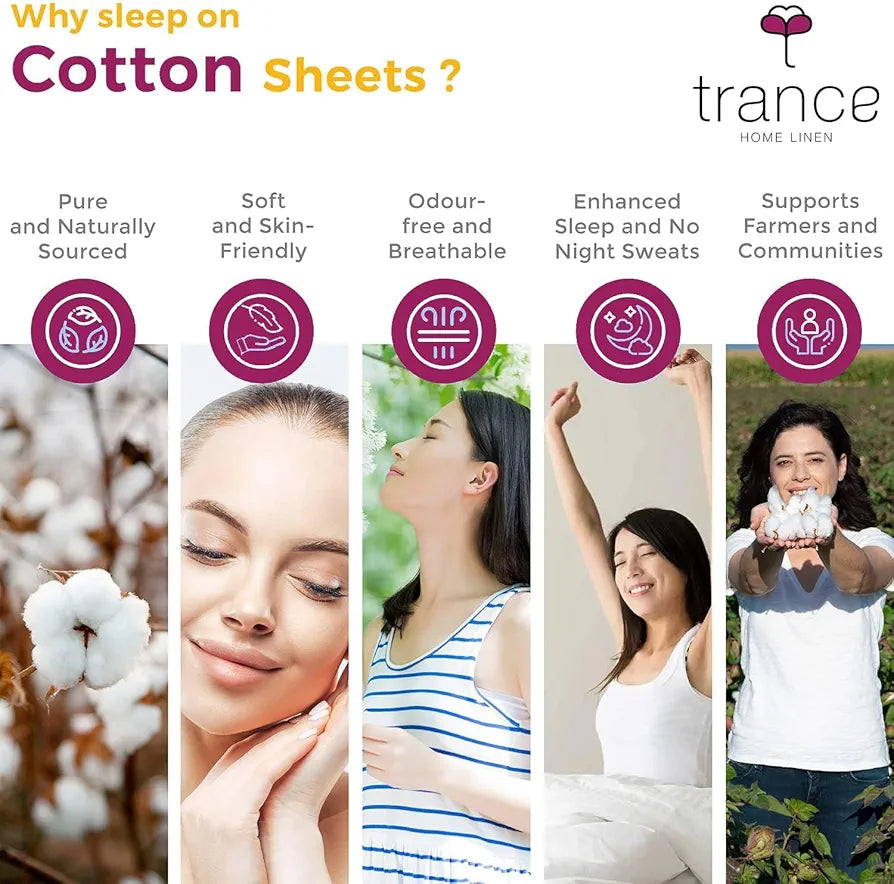 Trance Home Linen 400 TC 100% Cotton 78x36 inch Single Elastic Fitted Bedsheet Premium with 1 Pillow Cover Colour Ivory