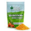 Bliss of Earth Sea Buckthorn Powder – 100gm Seabuckthorn Berry Powder, Fine Himalayan from Whole Berry, Easy to Mix in Drinks, Smoothies & Meals, No Added Sugar