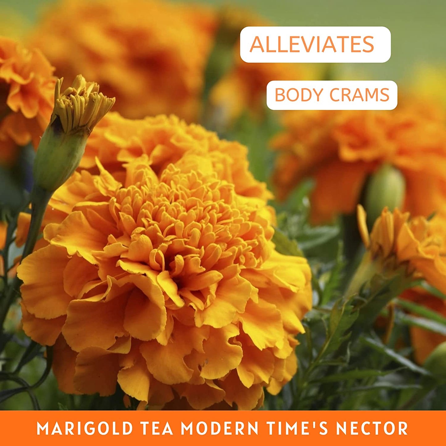 Havintha Natural Dried Marigold Flower Tea - 50 gms