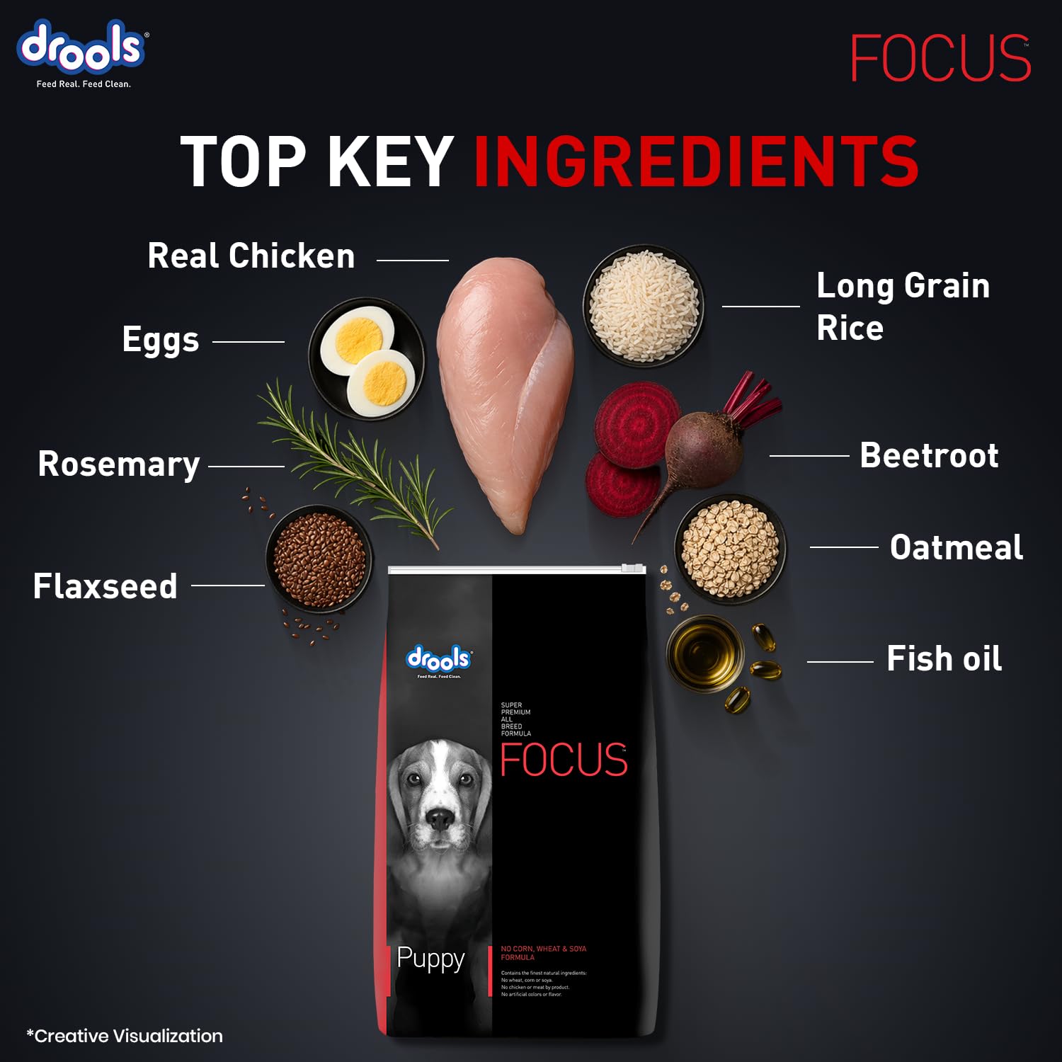 Drools Focus Premium Puppy Dry Dog Food 1.2kg Pack | Chicken Flavour | Growth & Intelligence | Digestive Health | Healthy Skin & Coat | Improves Immunity