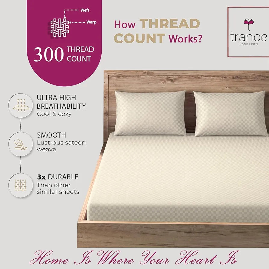 Trance Home Linen 300TC Premium Fitted Bedsheet for Queen Size Bed with 2 Pillow Solid Cover Skin Friendly 100% Cotton Jacquard Weave Colour Pearl