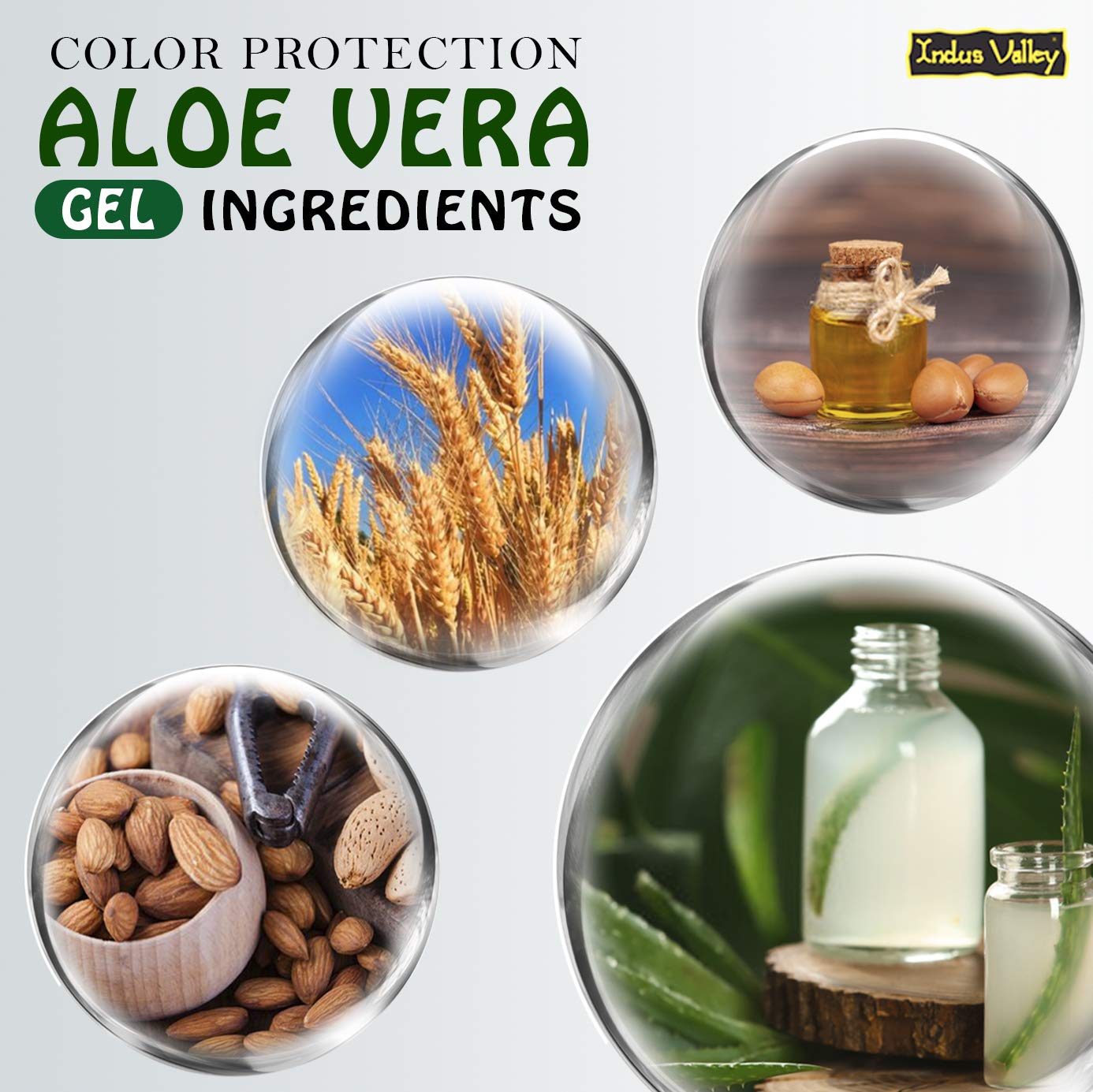 INDUS VALLEY Bio Organic Color Protection Aloe Vera Gel With Argan Oil For Rich Colour & Shiny Hair - (175ml)