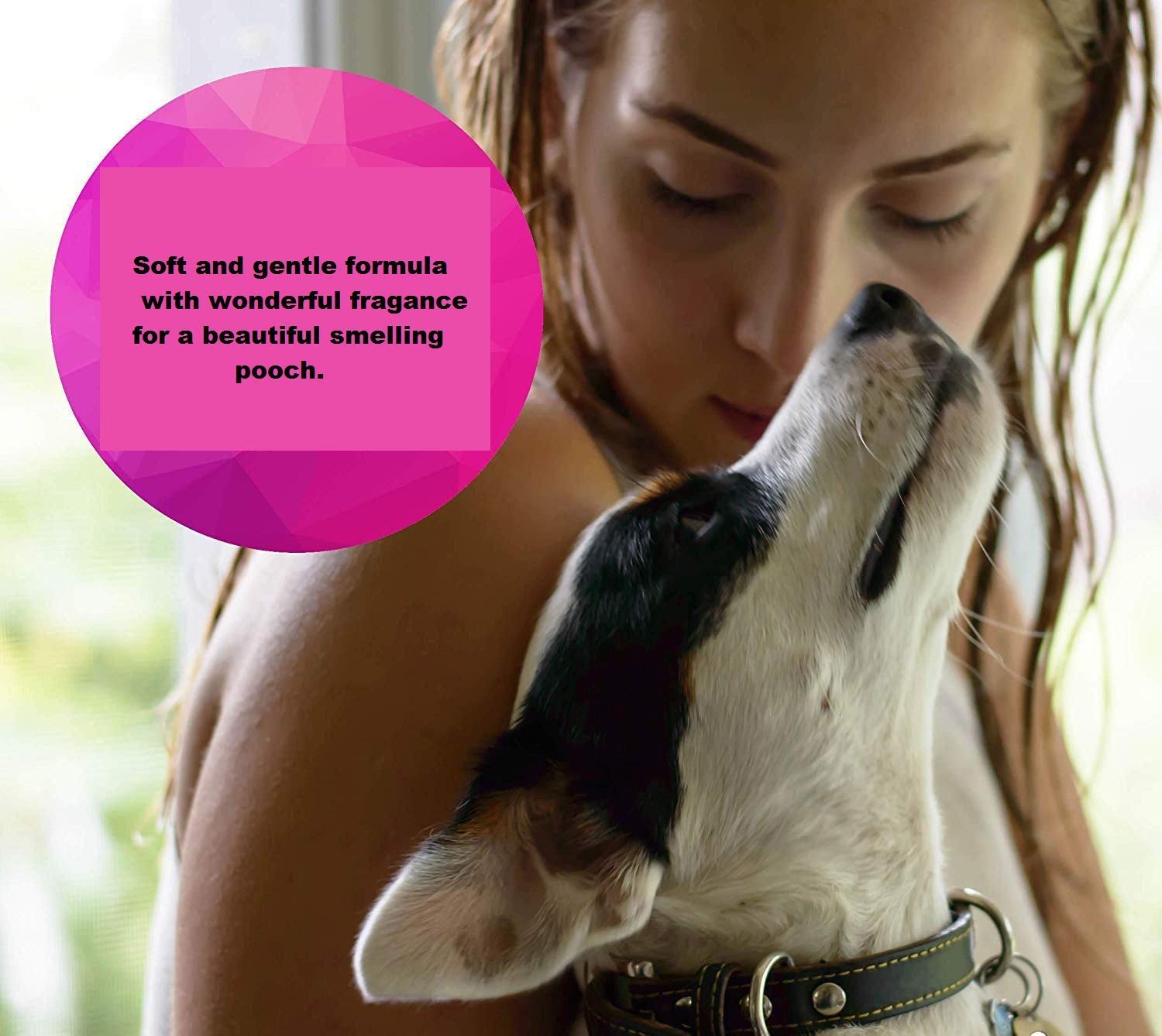 Pet Needs Oh My Dog Paraben Free Ultimate Pet Shampoo for Puppies & Dogs | Berry-coconut | 500 Ml