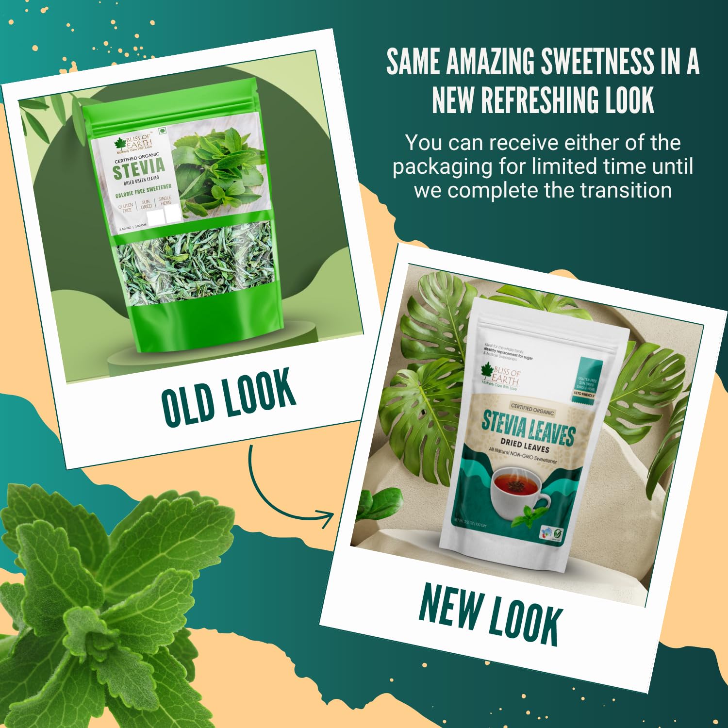 Bliss of Earth Organic Stevia Leaves Dried, Natural & Sugarfree, Best Taste, 100GM