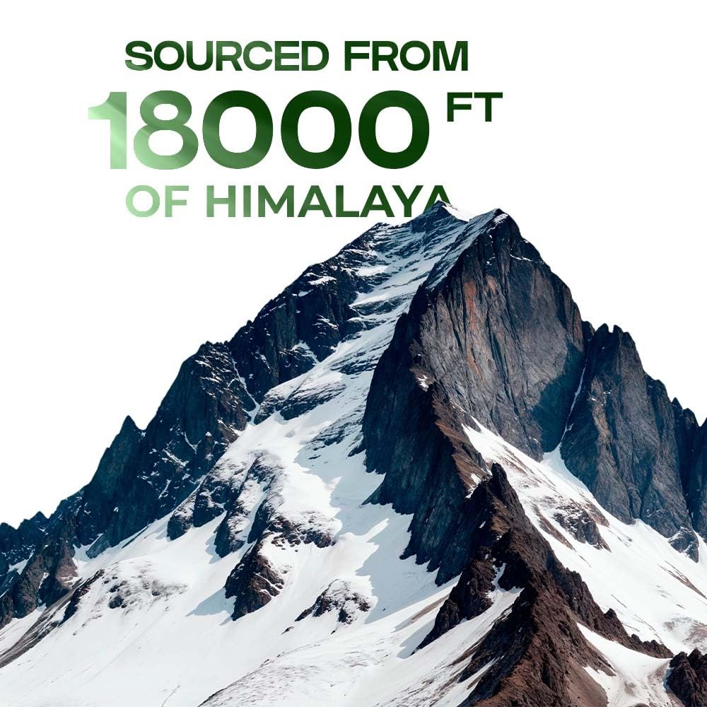 Pure Himalayan Shilajit Resin â€“ Natural Energy & Stamina Booster for Men & Women | Ayurvedic Herbal Supplement | High-Altitude Source | 20g Resin (1)