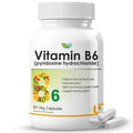 Biotrex Nutraceuticals Vitamin B6 (Pyridoxine Hydrochloride) Supplement | 60 Veg Capsules