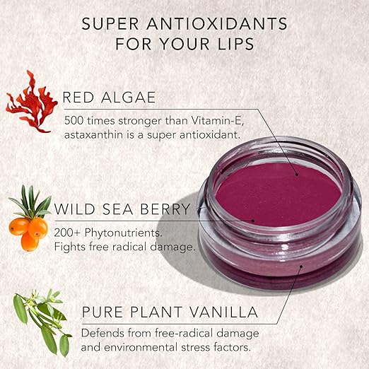 Daughter Earth Vegan Lip and Cheek Tint With Vitamin E | Fonce Red (Maroon) Matte Natural Blush for Women - 4.5 Gms