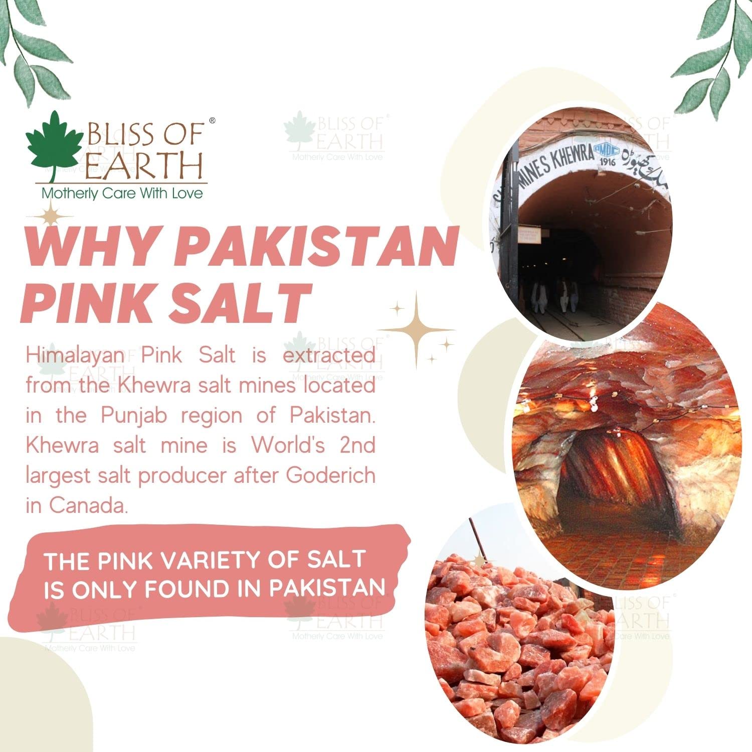 Bliss of Earth 1KG Granular Pakistani Himalayan Pink Salt Non Iodized for weight loss & Healthy Cooking, Natural Substitute of White Salt