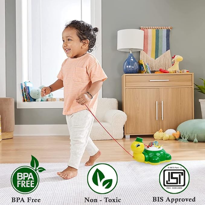 Wembley Turtle Butterfly Pull Along Toy Multicolor