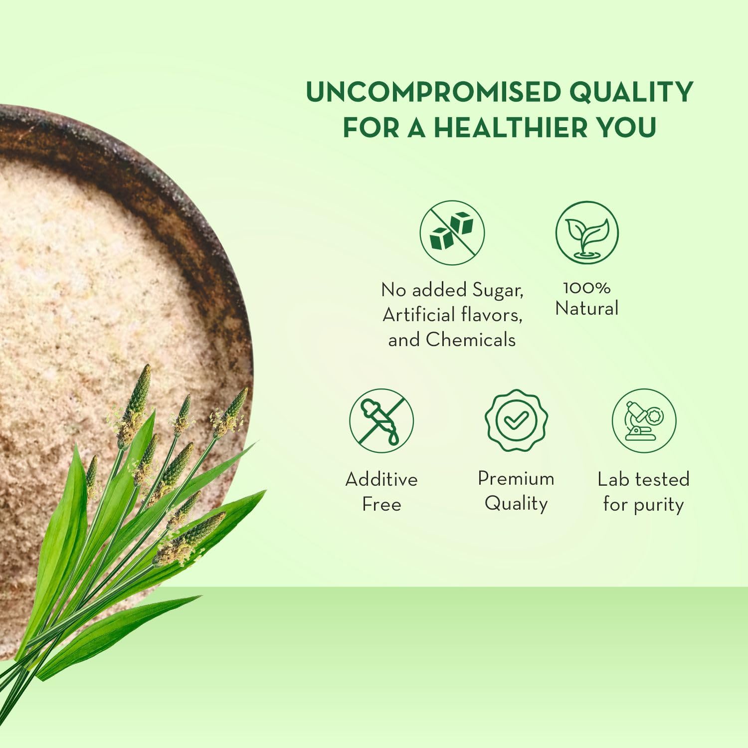 Baidyanath Asli Ayurved Isabgol 100 gm - Psyllium Husk Powder| Boosts Digestion | Constipation Relief Naturally | Rich Source Of Dietary Fiber Supplement